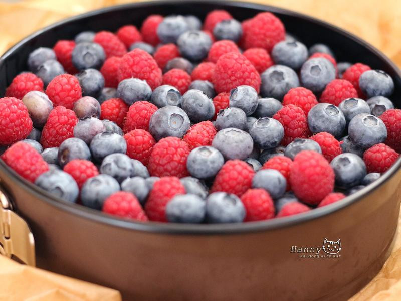 �Ÿ�ݮ�����������