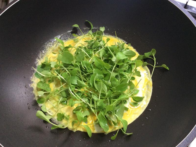 ���ߺӷ۵���������