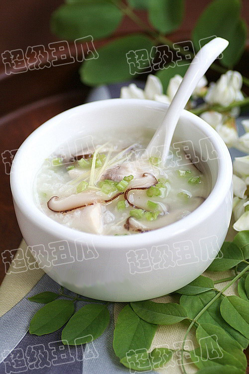 ������Ƭ�������