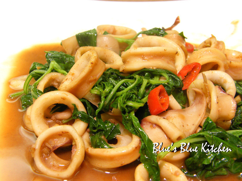 5�����¾Ʋ�-��������Ȧ������