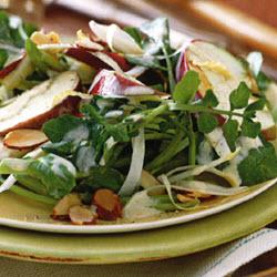 ����ƻ��ˮ���ɳ��������