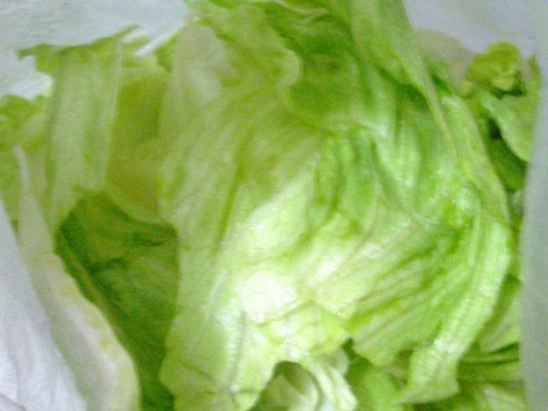 ~�������������������h�������