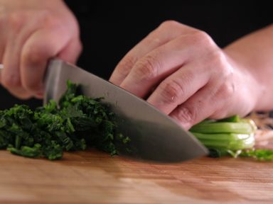 ެ�Ѳ����ڱ�������