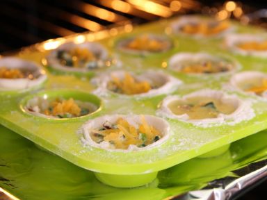 ެ�Ѳ����ڱ�������