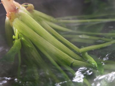 ެ�Ѳ����ڱ�������