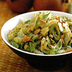 ��ʽ�����ײ˵�����