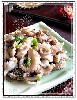 �����צ�������