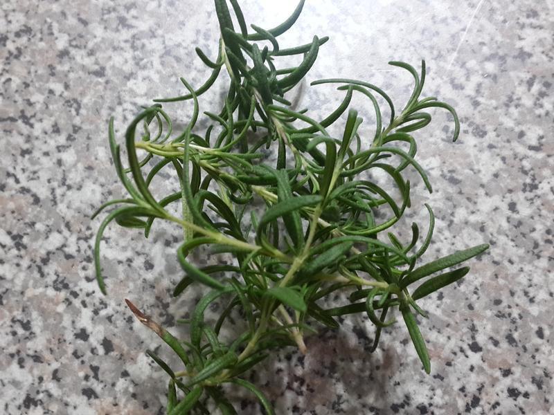 �Ե���ں�����������������