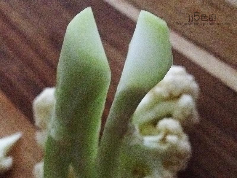 �����ƻ�Ҭ�˵�����