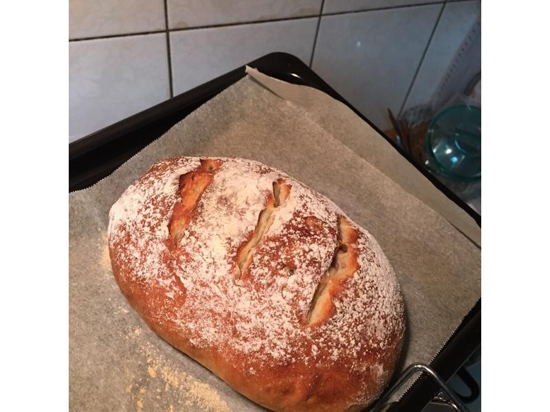 ��������������������