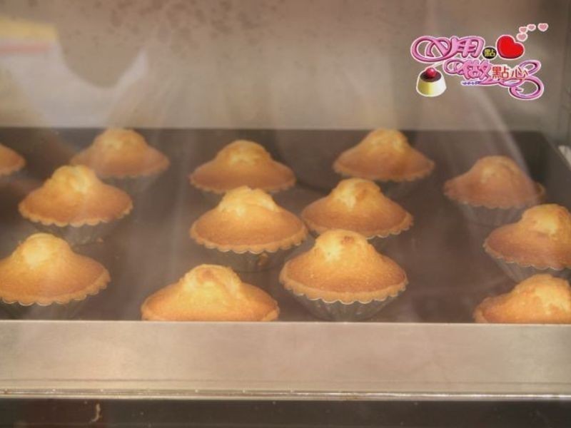 �����ɲ��ʵ�����