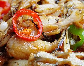 �����Ｆ�ȵ�����