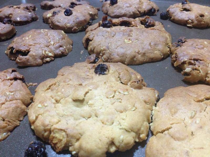 葡萄燕麦手工饼干的做法