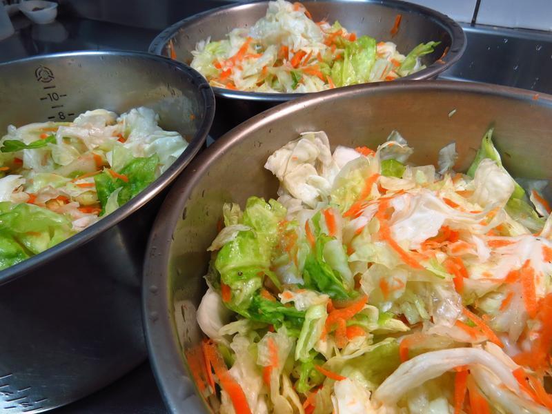 ��ʳ�ס����׿��ٵĺ����ݲ˨�������