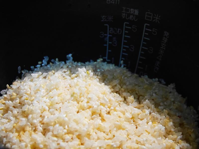 �½�����ץ��������