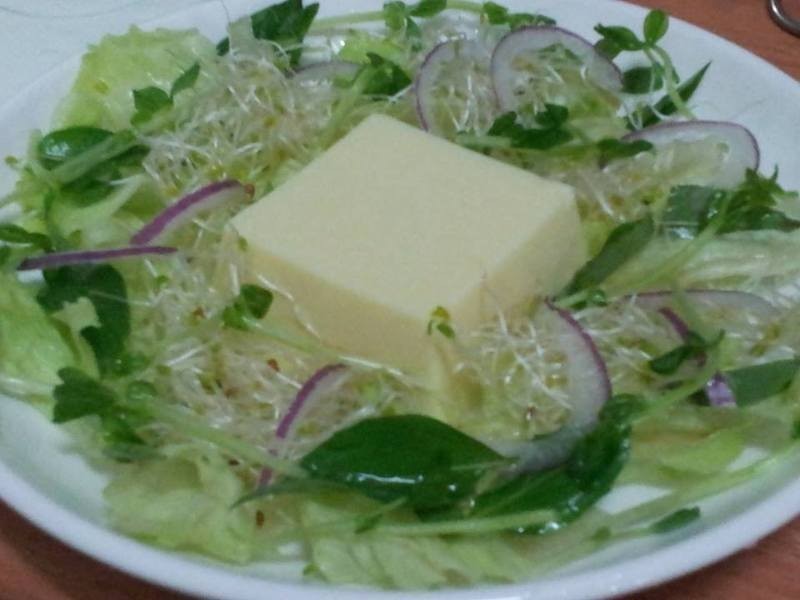 ������������衿 ����ܽ��ɳ��������