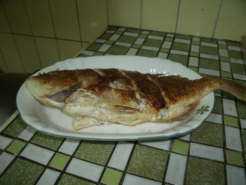 �������������