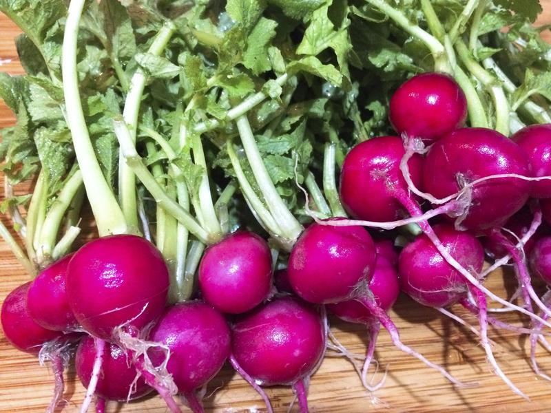 ������ɳ��������