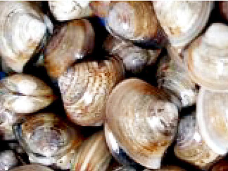 ���Ѹ�����Ϻ�����ˮ���������