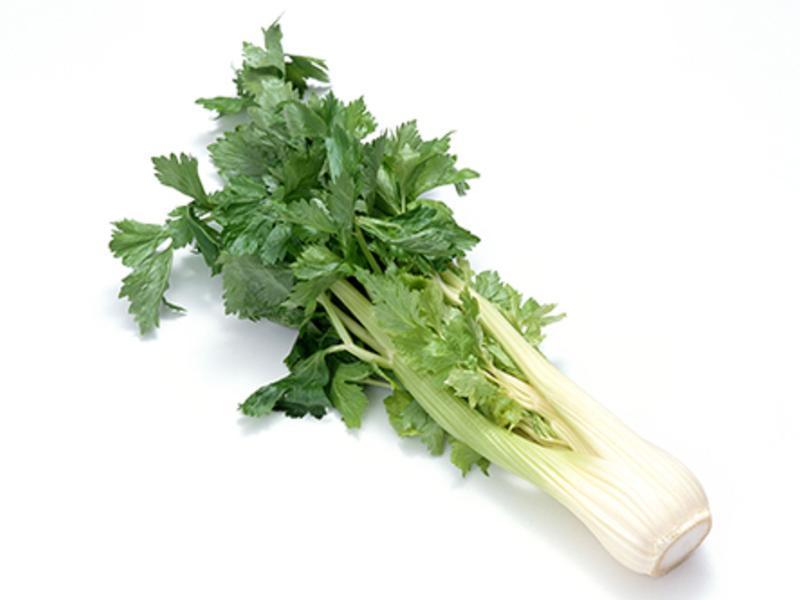 ���Ѹ�����Ϻ�����ˮ���������