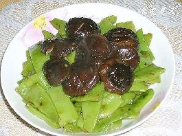 �㹽�˱ⶹ������