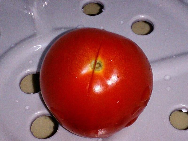 ����ެ�ѵ�����