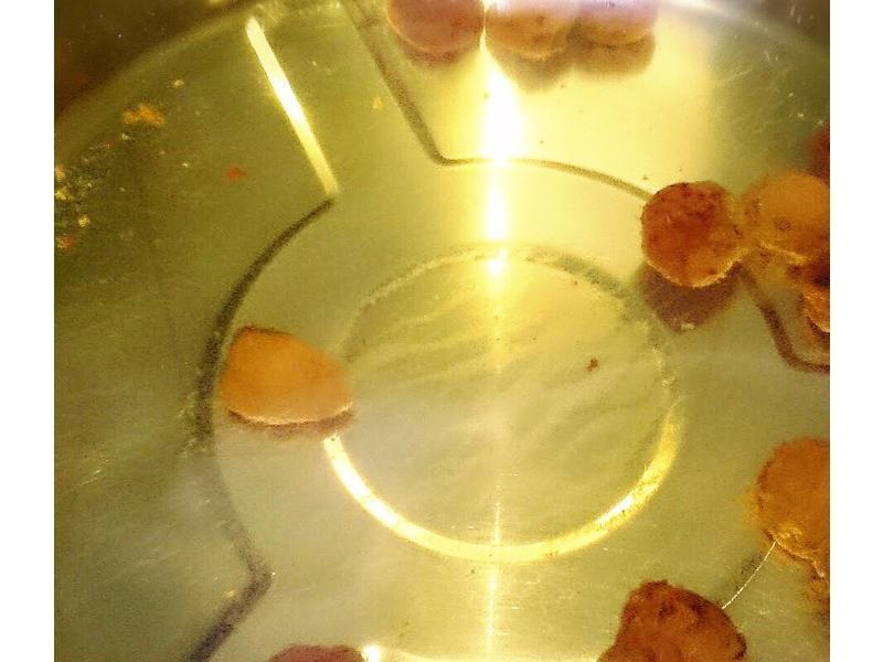 ����ެ�ѵ�����