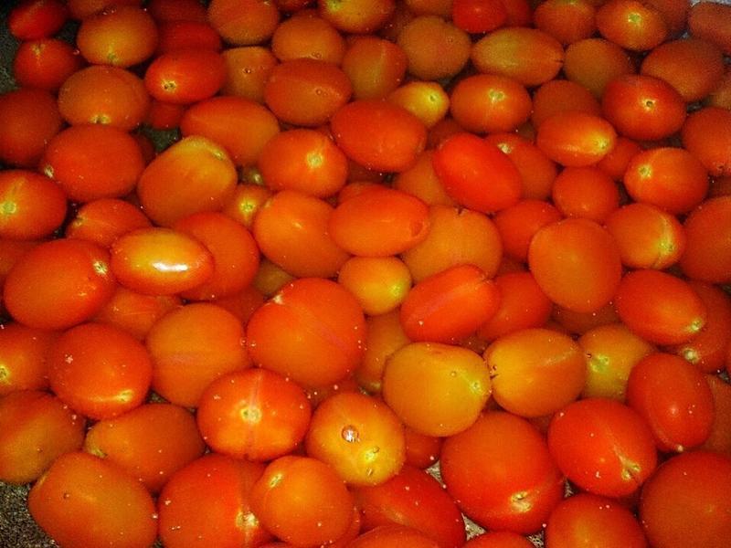 ����ެ�ѵ�����