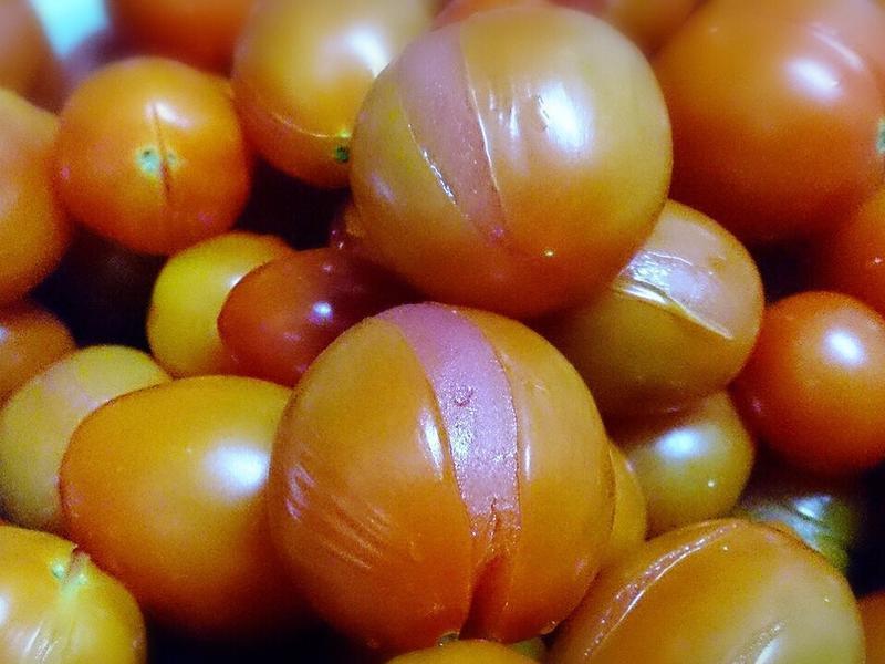 ����ެ�ѵ�����