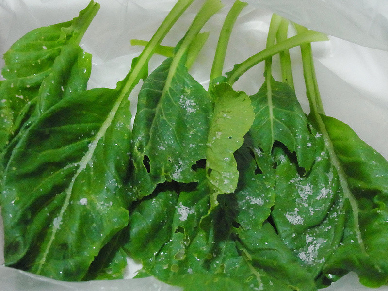 ����ѩ��쳴���ɵ�����