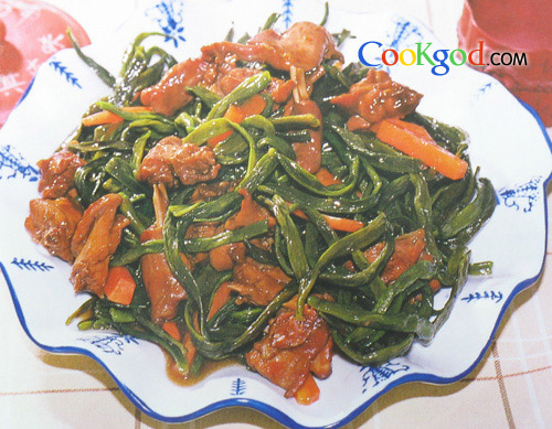 ܿ���������������