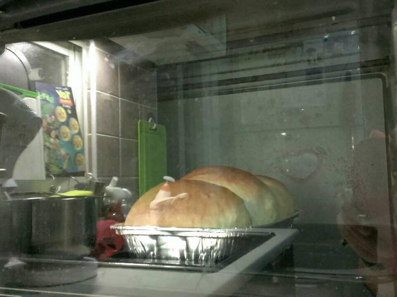 ����ţ����˾������