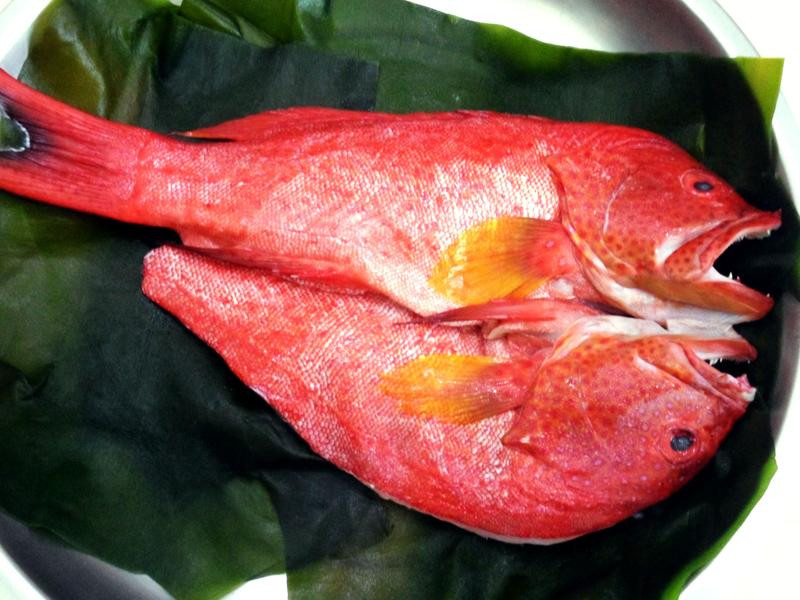 �ò�ͷ�����������������