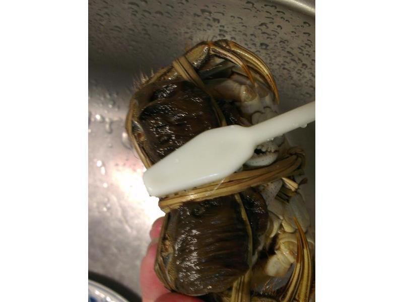 ��������ţ����բз��������