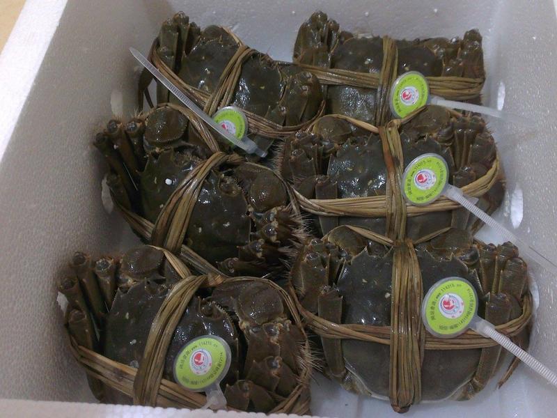 ��������ţ����բз��������