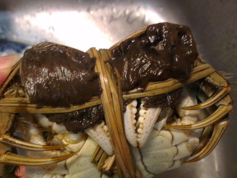 ��������ţ����բз��������