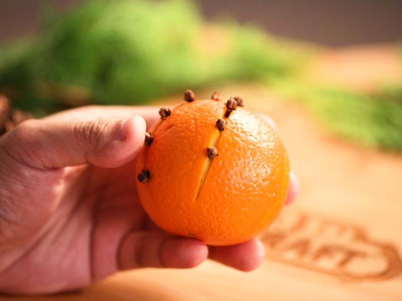 ������ơ�Ƶ�����