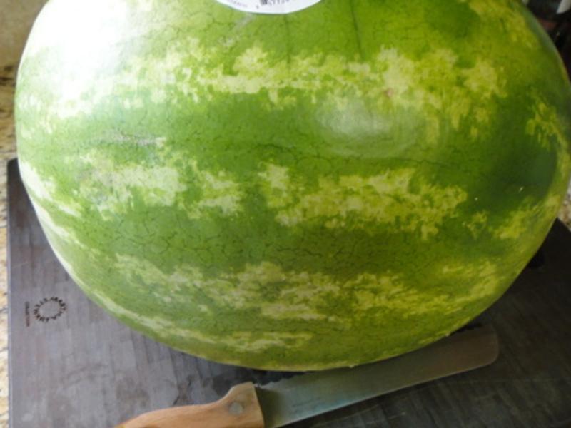 ˮ�����ϵ��� ?!!!������