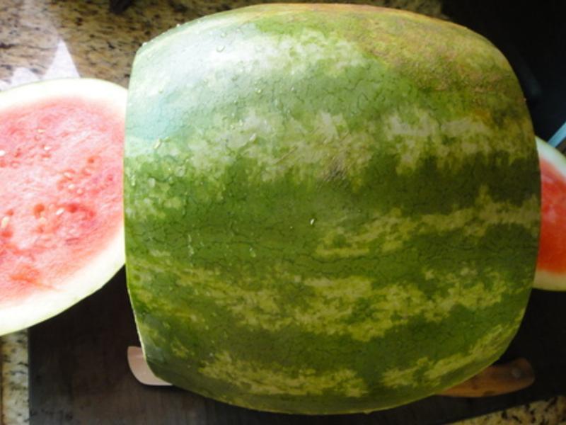 ˮ�����ϵ��� ?!!!������