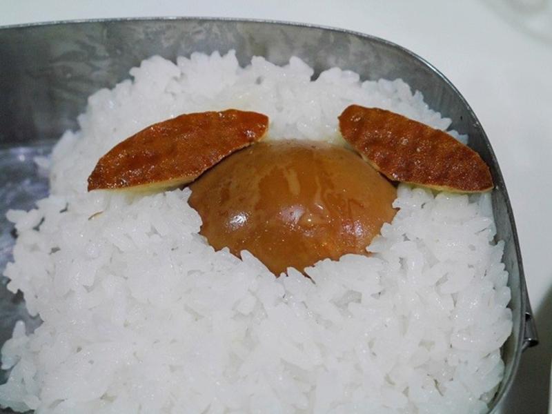 [���ӱ㵱]2015��������ӭ���������