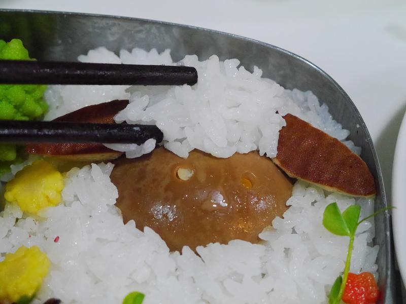 [���ӱ㵱]2015��������ӭ���������