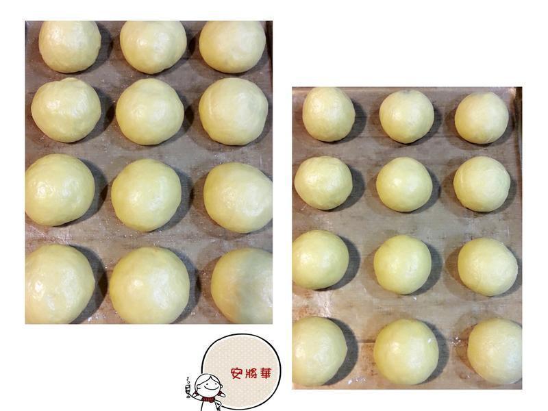 �ϹϽ���ƻ�����~���������������