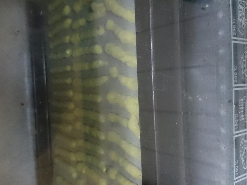 ë��������������ָʳ��--�ױ���������