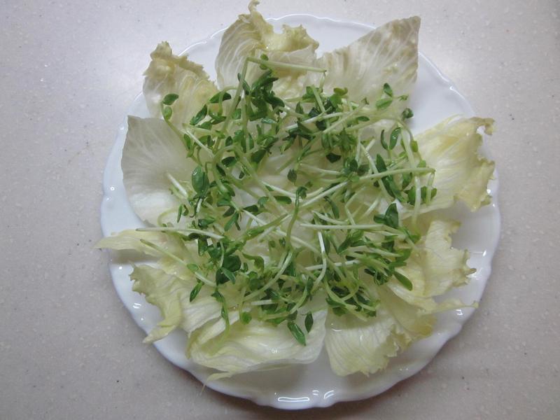 ���ռ�����-�����ʤ����������