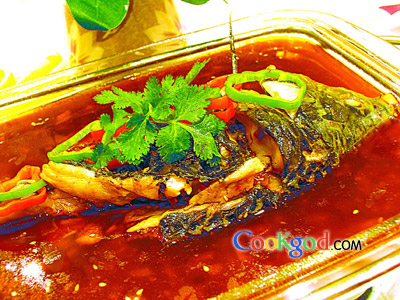 �����ζ�������