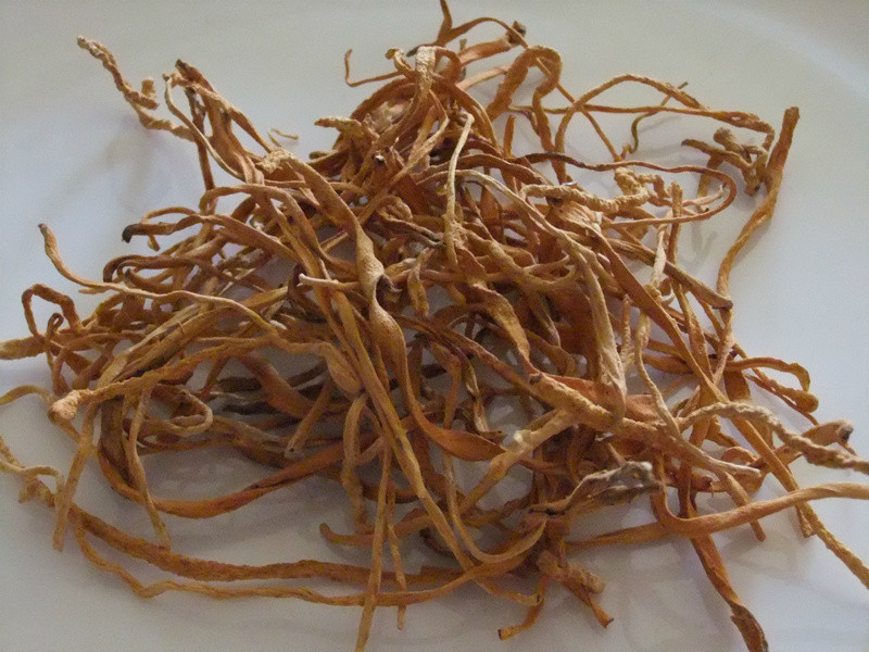 ��ݹ��ʼ���������