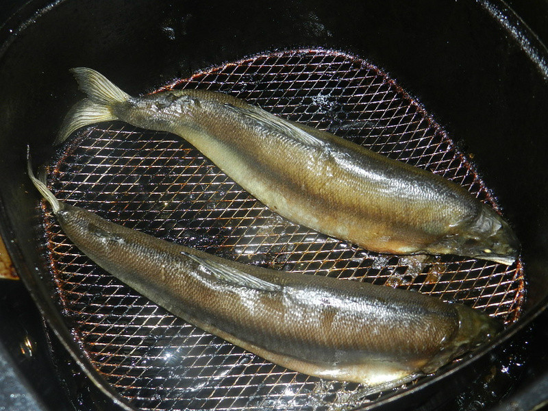 ������Ʒ�����������������