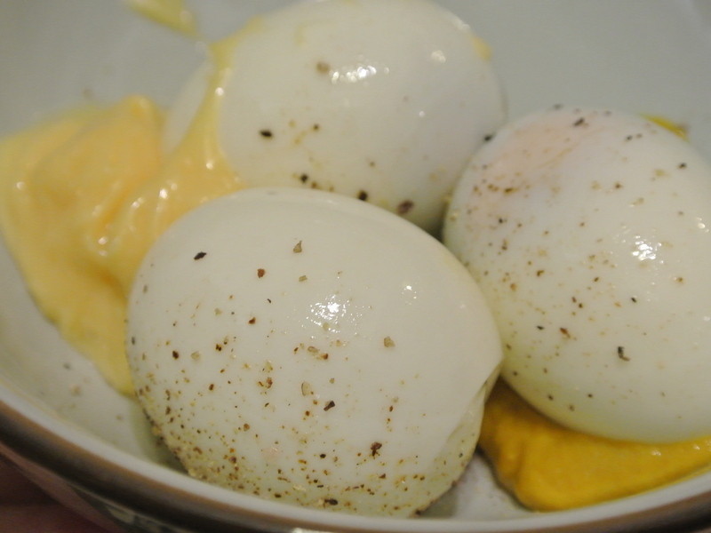 ��ɳ����˾������