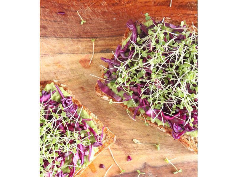 ��ɫ��������Ұ�������潴��˾������