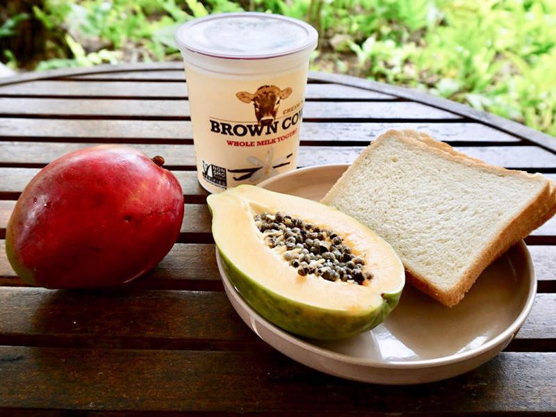 �����Ÿ�մ����˾���ɵ�����